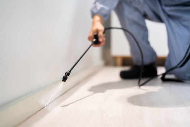 Professional exterminator conducting IPM assessment in Lake Barcroft