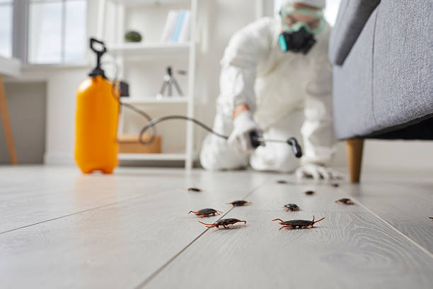 Affordable Mosquito Control solutions in Lake Barcroft, VA